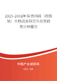 2025-2031年陜西純堿（碳酸鈉）市場調(diào)查研究與前景趨勢分析報告