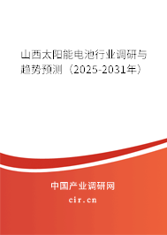 山西太陽能電池行業(yè)調研與趨勢預測（2025-2031年）