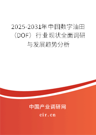 2025-2031年中國數字油田（DOF）行業(yè)現狀全面調研與發(fā)展趨勢分析