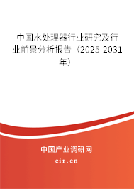 中國水處理器行業(yè)研究及行業(yè)前景分析報告（2025-2031年）