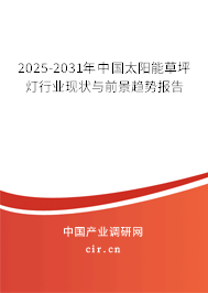 2025-2031年中國(guó)太陽(yáng)能草坪燈行業(yè)現(xiàn)狀與前景趨勢(shì)報(bào)告