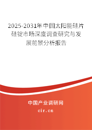 2025-2031年中國太陽能硅片硅錠市場深度調(diào)查研究與發(fā)展前景分析報告
