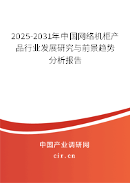 2025-2031年中國網絡機柜產品行業(yè)發(fā)展研究與前景趨勢分析報告