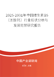 2025-2031年中國(guó)維生素B5（泛酸鈣）行業(yè)現(xiàn)狀分析與發(fā)展前景研究報(bào)告