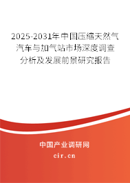 2025-2031年中國壓縮天然氣汽車與加氣站市場深度調(diào)查分析及發(fā)展前景研究報(bào)告