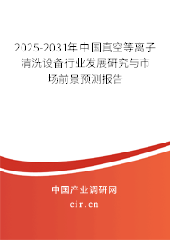 2025-2031年中國真空等離子清洗設(shè)備行業(yè)發(fā)展研究與市場前景預(yù)測報告