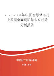 2024-2030年中國智慧城市行業(yè)發(fā)展全面調(diào)研與未來趨勢分析報告