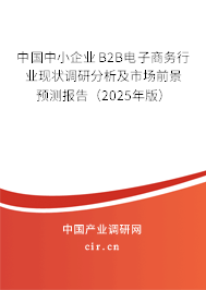 中國(guó)中小企業(yè)B2B電子商務(wù)行業(yè)現(xiàn)狀調(diào)研分析及市場(chǎng)前景預(yù)測(cè)報(bào)告（2025年版）