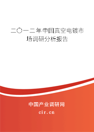 二〇一二年中國(guó)真空電鍍市場(chǎng)調(diào)研分析報(bào)告
