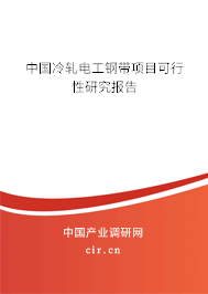 中國冷軋電工鋼帶項目可行性研究報告