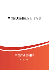 中國(guó)藕項(xiàng)目投資咨詢報(bào)告