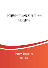 中國橡膠三角帶項(xiàng)目可行性研究報(bào)告