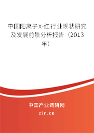 中國陽離子X-紅行業(yè)現(xiàn)狀研究及發(fā)展前景分析報告（2013年）