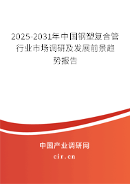 2025-2031年中國(guó)鋼塑復(fù)合管行業(yè)市場(chǎng)調(diào)研及發(fā)展前景趨勢(shì)報(bào)告