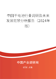 中國干電池行業(yè)調(diào)研及未來發(fā)展前景分析報告（2024年版）