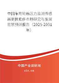 中國車用輪胎壓力監(jiān)測傳感器更換套件市場研究與發(fā)展前景預測報告（2025-2031年）