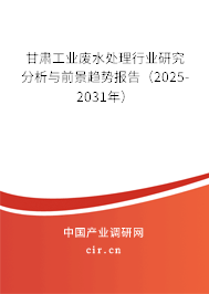 甘肅工業(yè)廢水處理行業(yè)研究分析與前景趨勢(shì)報(bào)告（2025-2031年）