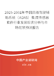 2025-2031年中國高級駕駛輔助系統(tǒng)（ADAS）集成傳感器套件行業(yè)發(fā)展現(xiàn)狀分析與市場前景預測報告