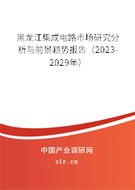 黑龍江集成電路市場(chǎng)研究分析與前景趨勢(shì)報(bào)告（2023-2029年）