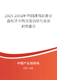 2025-2031年中國建筑起重設(shè)備租賃市場(chǎng)深度調(diào)研與發(fā)展趨勢(shì)報(bào)告