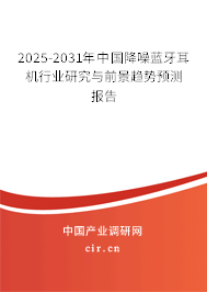 2025-2031年中國降噪藍牙耳機行業(yè)研究與前景趨勢預測報告
