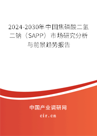2024-2030年中國(guó)焦磷酸二氫二鈉（SAPP）市場(chǎng)研究分析與前景趨勢(shì)報(bào)告