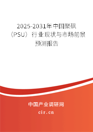 2025-2031年中國聚砜（PSU）行業(yè)現(xiàn)狀與市場前景預(yù)測報告
