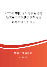 2025年中國(guó)輪轂電機(jī)驅(qū)動(dòng)電動(dòng)汽車市場(chǎng)現(xiàn)狀調(diào)研與發(fā)展趨勢(shì)預(yù)測(cè)分析報(bào)告