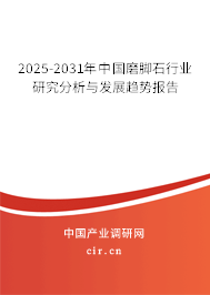 2025-2031年中國磨腳石行業(yè)研究分析與發(fā)展趨勢報告
