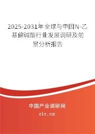 2025-2031年全球與中國N-乙基偏堿酯行業(yè)發(fā)展調(diào)研及前景分析報告