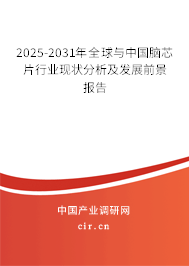 2025-2031年全球與中國腦芯片行業(yè)現(xiàn)狀分析及發(fā)展前景報告