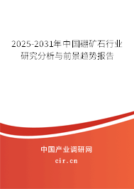 2025-2031年中國硼礦石行業(yè)研究分析與前景趨勢報告