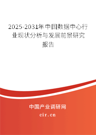 2025-2031年中國數(shù)據(jù)中心行業(yè)現(xiàn)狀分析與發(fā)展前景研究報告