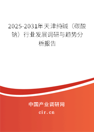 2025-2031年天津純堿（碳酸鈉）行業(yè)發(fā)展調(diào)研與趨勢(shì)分析報(bào)告