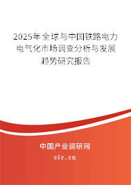 2025年全球與中國鐵路電力電氣化市場調(diào)查分析與發(fā)展趨勢研究報告