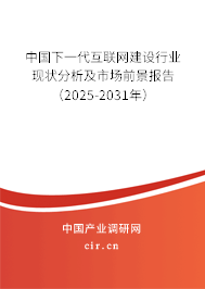 中國下一代互聯(lián)網(wǎng)建設(shè)行業(yè)現(xiàn)狀分析及市場前景報(bào)告（2025-2031年）