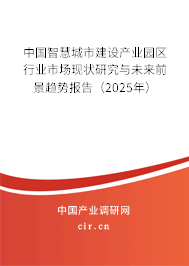 中國智慧城市建設(shè)產(chǎn)業(yè)園區(qū)行業(yè)市場(chǎng)現(xiàn)狀研究與未來前景趨勢(shì)報(bào)告（2025年）