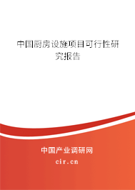 中國廚房設(shè)施項目可行性研究報告