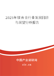 2025年鎂合金行業(yè)發(fā)展回顧與展望分析報告