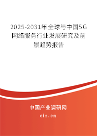 2025-2031年全球與中國5G網絡服務行業(yè)發(fā)展研究及前景趨勢報告