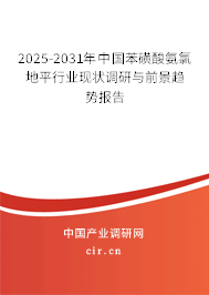 2025-2031年中國苯磺酸氨氯地平行業(yè)現(xiàn)狀調研與前景趨勢報告