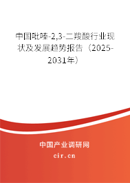 中國(guó)吡嗪-2,3-二羧酸行業(yè)現(xiàn)狀及發(fā)展趨勢(shì)報(bào)告（2025-2031年）