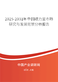 2025-2031年中國磁力釜市場(chǎng)研究與發(fā)展前景分析報(bào)告