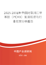 2025-2031年中國對氯間二甲苯酚（PCMX）發(fā)展現(xiàn)狀與行業(yè)前景分析報(bào)告