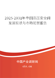 2025-2031年中國高壓安全閥發(fā)展現(xiàn)狀與市場前景報告