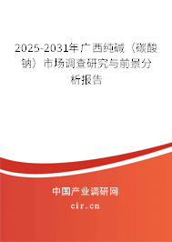 2025-2031年廣西純堿（碳酸鈉）市場調查研究與前景分析報告