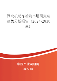 湖北機動車檢測市場研究與趨勢分析報告（2024-2030年）