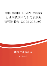 中國巨磁阻（GMR）傳感器行業(yè)現(xiàn)狀調(diào)研分析與發(fā)展趨勢預(yù)測報告（2025-2031年）