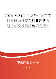 2024-2030年全球與中國可變排量軸向柱塞泵行業(yè)現(xiàn)狀調(diào)研分析及發(fā)展趨勢研究報告