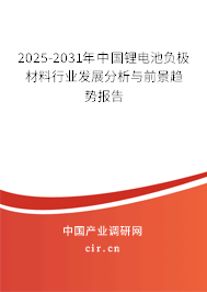 2025-2031年中國(guó)鋰電池負(fù)極材料行業(yè)發(fā)展分析與前景趨勢(shì)報(bào)告
